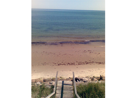 Photo Summer 2012 Nantucket, MA (Mihaela D., Bulgaria)